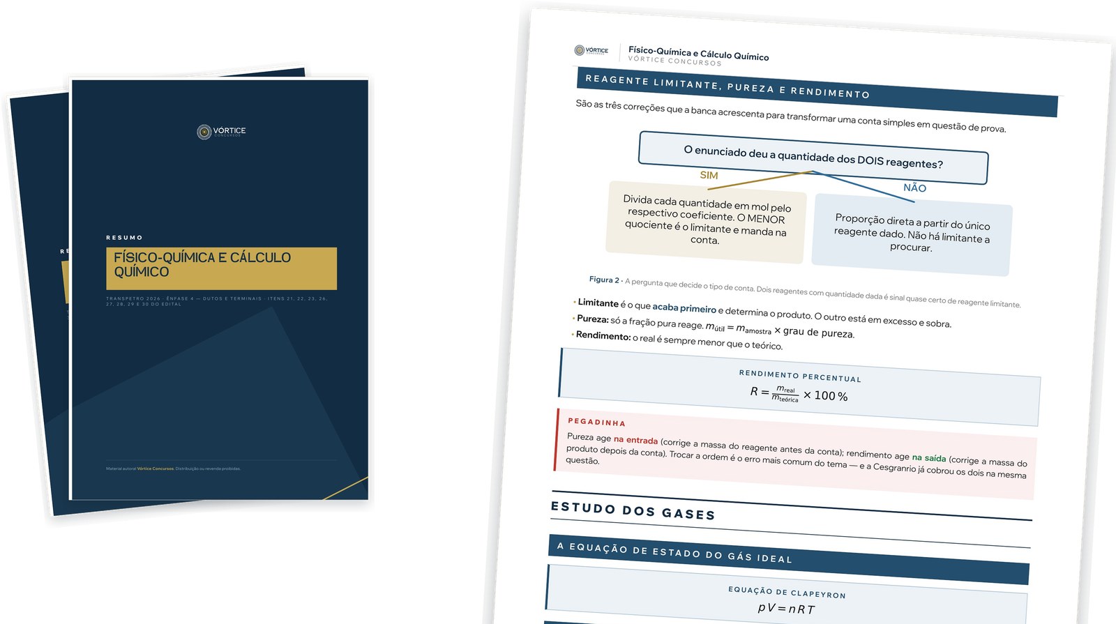 Capas e páginas internas reais dos resumos